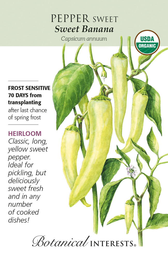 Organic Sweet Banana Sweet Pepper Seeds - 20 Seeds