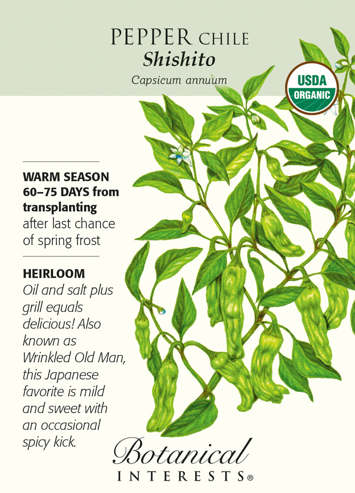 Organic Shishito Chile Pepper - 20 Seeds