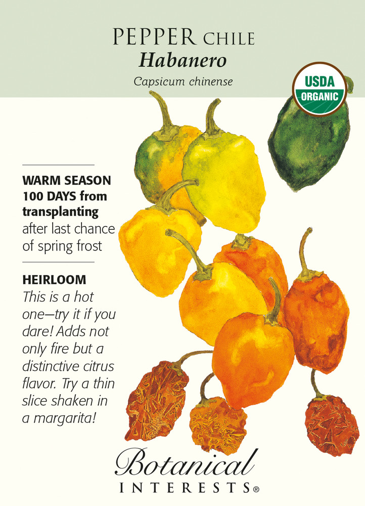 Organic Habanero Chile Pepper - 30 Seeds