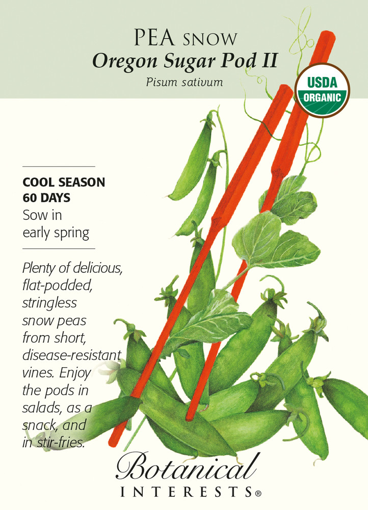 Organic Oregon Sugar Pod Snow Pea Seeds - 15 grams