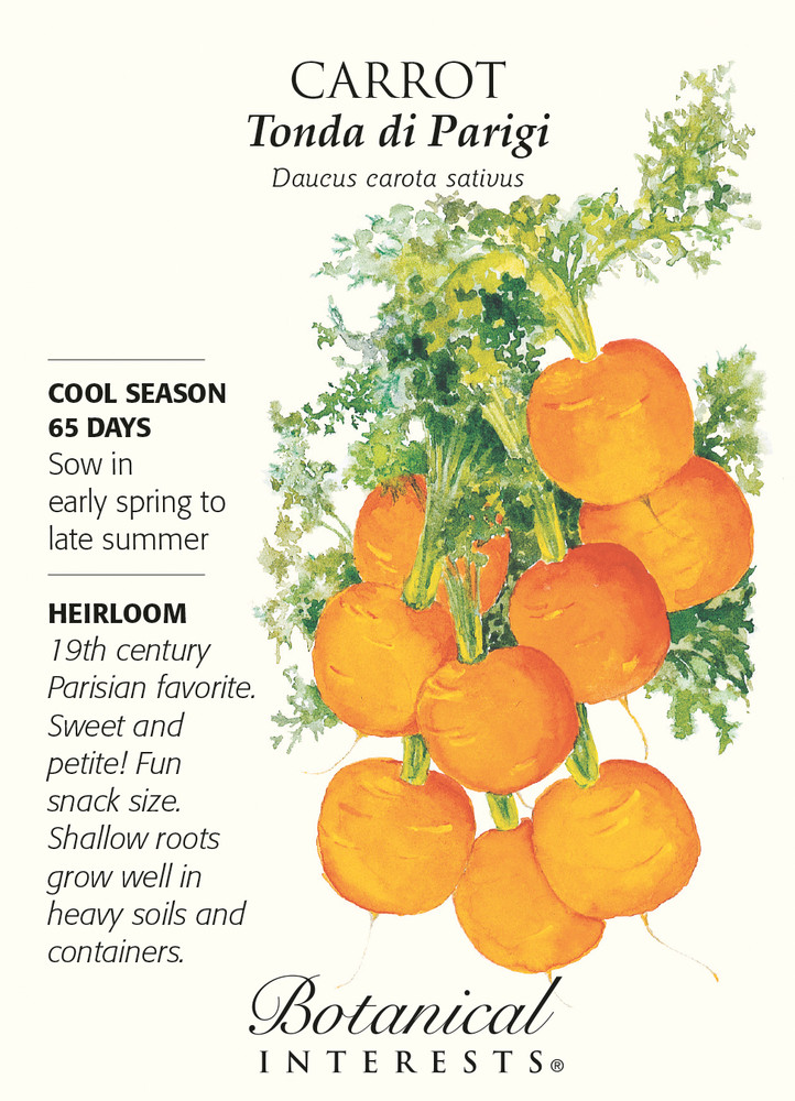Tonda di Parigi Carrot Seeds - 800 mg