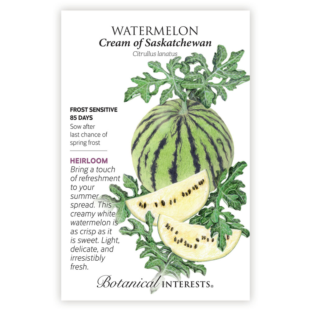 Cream Of Saskatchewan Watermelon Seeds - 1.5 grams