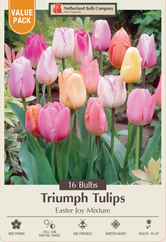Easter Joy Mix Tulip - Soft Pastel Hues - 12/+ cm Bulbs - 16 bulbs