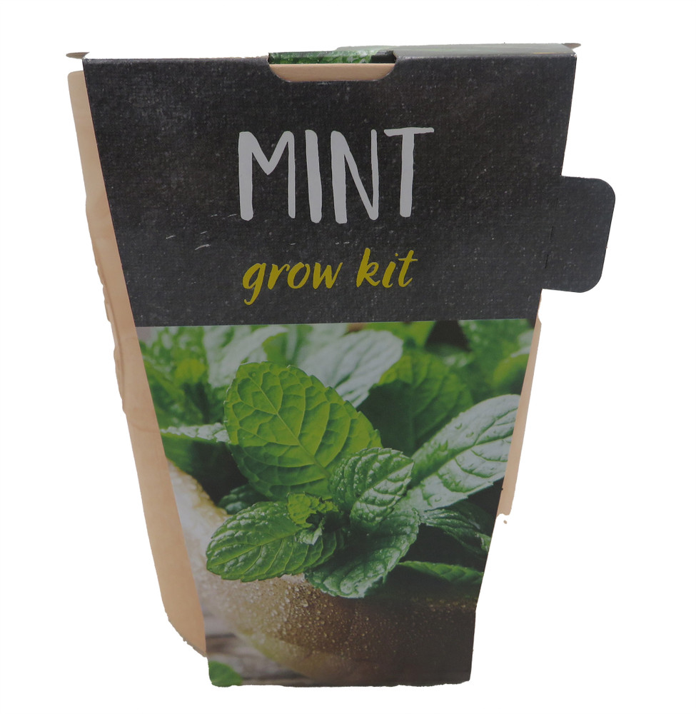 Mint Grow Kit - Ceramic Planter