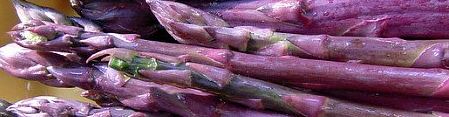 Purple Passion Asparagus 10 Roots - Passion in the Garden - Heirloom/No GMOs
