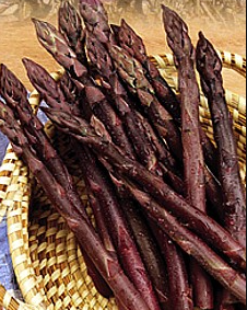 Purple Passion Asparagus 10 Roots - Passion in the Garden - Heirloom/No GMOs