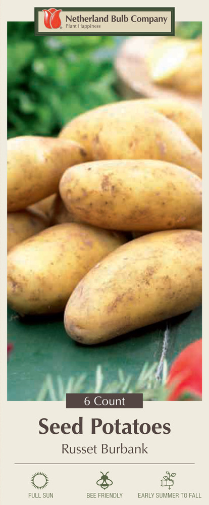 Russet Burbank Seed Potato - 6 Tubers - Great Taste!