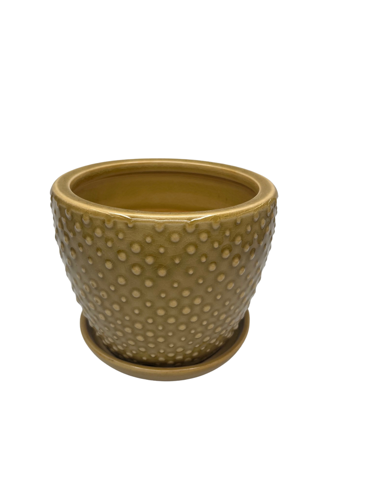 Classic Dot Planter with Attached Saucer - 6" x 5" - Marigold