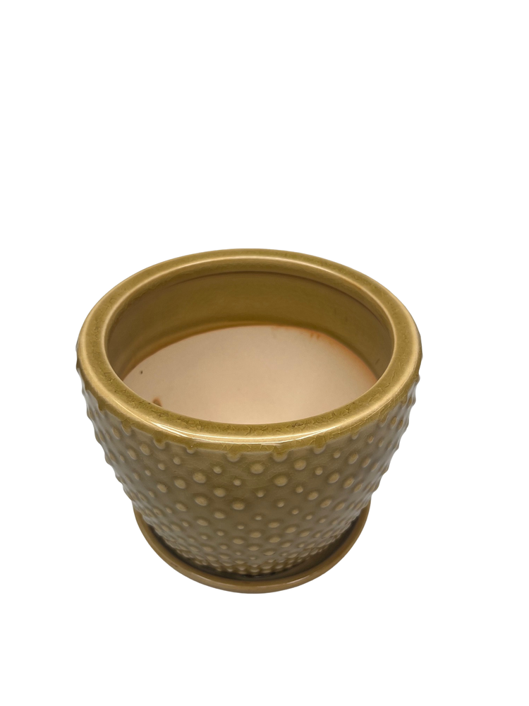 Classic Dot Planter with Attached Saucer - 6" x 5" - Marigold