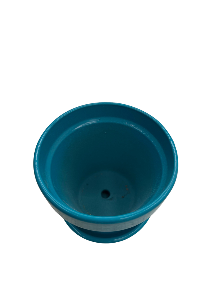 Mini Standard Pot with Attached Saucer - 2.75" x 2.5" - Turquoise