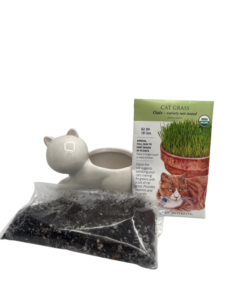 DIY Cat Grass Growing Kit with 2.5" Ceramic Cat Planter, Organic Seeds and Soil - Fast Growing