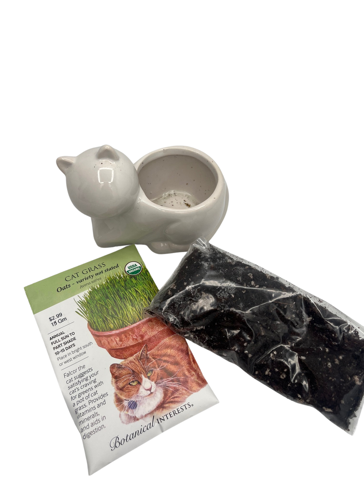 DIY Cat Grass Growing Kit with 2.5" Ceramic Cat Planter, Organic Seeds and Soil - Fast Growing