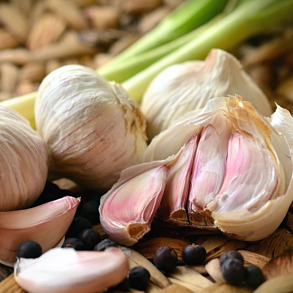 Mennonite Garlic Bulbs - 3 Bulbs - Hardneck