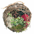 Grape Vine Ball with Living Plants - 9" Diameter