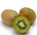 Hardy Kiwi Fruit 10 Seed -Actinidia chinensis-Perennial