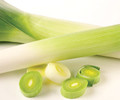American Flag Leek - 200 Seeds