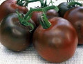 Black Prince Tomato 15 Seeds - Heirloom -From Siberia