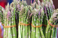Mary Washington Asparagus 100 Seeds