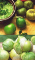 Tomatillo Plant - Husk Tomato - 2.5" Pot