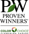 Snippet® Dark Pink Weigela - Proven Winners - 4" Pot