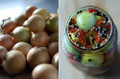 Stuttgarter Yellow Onion Sets - 100 Bulbs - Sweet Taste