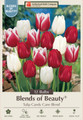 Candy Cane Mix Triumph Tulip 12 Bulbs - Red & White - 12/+ cm Bulbs