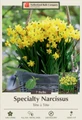 Tete a Tete Narcissus/Daffodil 7 Bulbs - 12/14 cm Bulbs