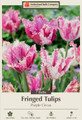 Purple Circus Fringed Tulip 7 Bulbs - 12/+ cm Bulbs