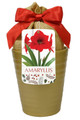 Red Lion Gold Ceramic Amaryllis Kit - Bulb/Ceramic Vase/Planting Medium