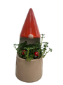 Funky Gnome Ceramic Planter with Live Trailing Houseplant - 9" x 3.5"