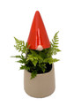Funky Gnome Ceramic Planter with Live Fern Plant - 9" x 3.5"