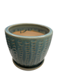 Pompeii Ceramic Planter with Attached Saucer - Arctic - 6" x 5.5"
