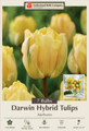 Akebono Double Late Peony Flowered Tulip 7 Bulbs - 12/+cm Bulbs