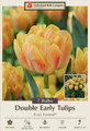 Foxy Foxtrot Double Early Tulip - 7 Bulbs - 12/+ cm Bulbs