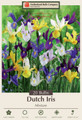 Dutch Iris Mixture 20 Bulbs - Hardy - 8/9 cm Bulbs
