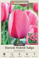 Pink Impression Darwin Tulip 7 Bulbs - 12/+ cm Bulbs