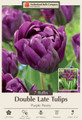 Purple Peony Double Late Peony Tulip - 7 Bulbs - 12/+ cm Bulbs