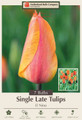 El Nino Single Late Tulip 7 Bulbs - 12/+ cm Bulbs