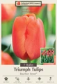 Bourbon Street Triumph Tulip 7 Bulbs - Exclusive! - 12/+ cm Bulbs