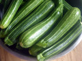 Cocozelle Zucchini Bush Squash - 15 Seeds