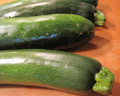 Spacemiser Zucchini - 10 Seeds - High Yields