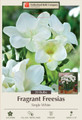 White Single Freesia - 20 Bulbs - Fragrant Blooms! - 6/+ cm Bulbs
