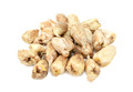 White Single Freesia - 20 Bulbs - Fragrant Blooms! - 6/+ cm Bulbs