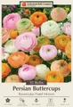 Pastel Mix Persian Buttercups Ranunculus 10 Bulbs - 6/7 cm Bulbs