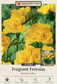 Double Yellow Freesia - 20 Bulbs - Pure Yellow - 6/+ cm Bulbs