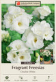 Double White Freesia 20 Bulbs - Pure White - Fragrant - 6/+ cm Bulbs
