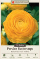 Yellow Persian Buttercup 10 Bulbs 6/7cm - Ranunculus - Hardy