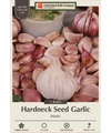 Music Hardneck Garlic - 2 Jumbo Bulbs