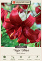 Red Velvet Asiatic Lily 2 Bulbs 14/16cm - Briliant Red