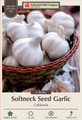 California Baja White Softneck Garlic Bulbs - 6 Jumbo Bulbs